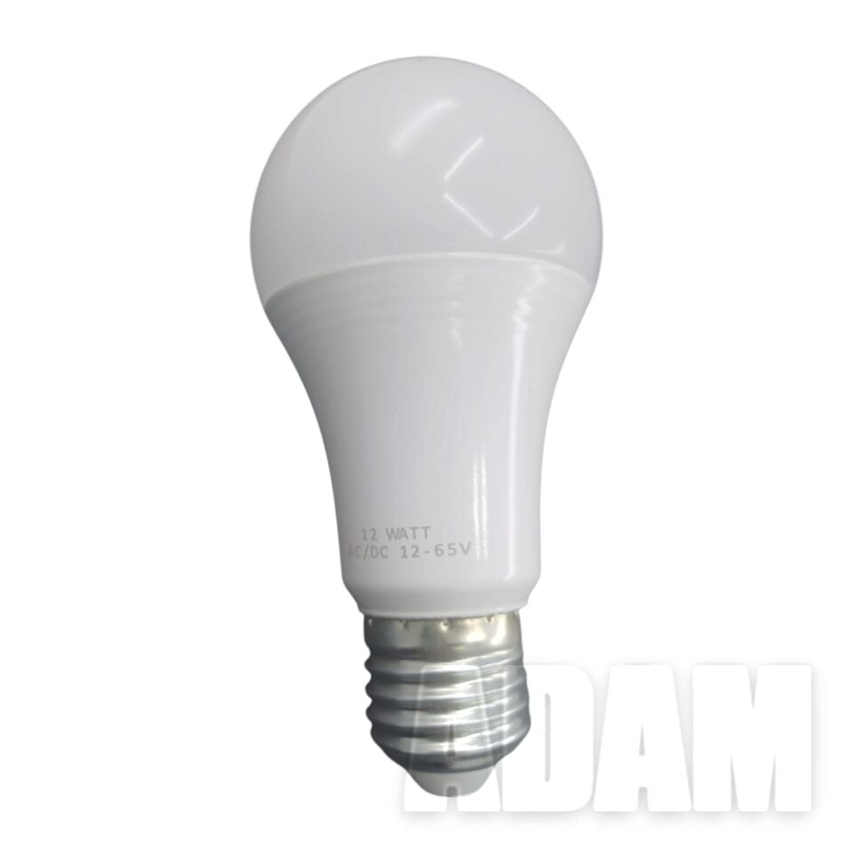 12V 24V AC/DC E27 Beyaz Işık LED Ampul 12W