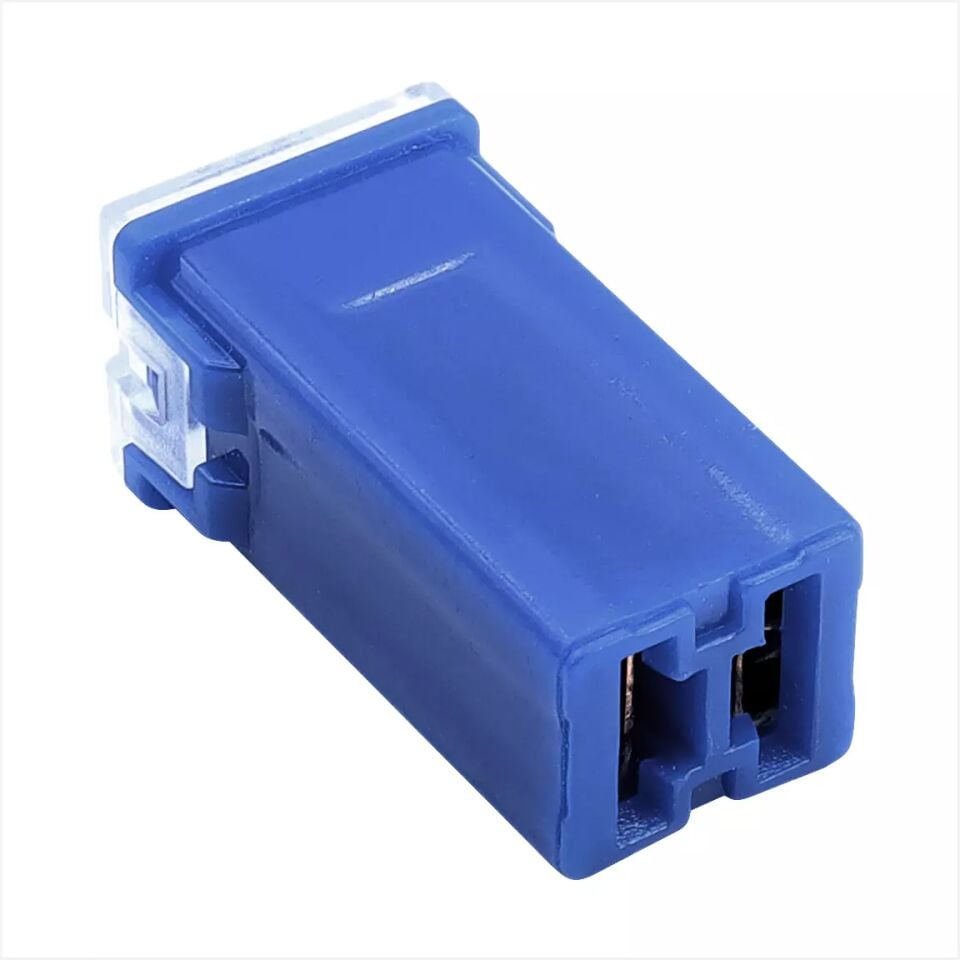 100A Lacivert Uzun Dişi Kartuş Sigorta PAL Cartridge